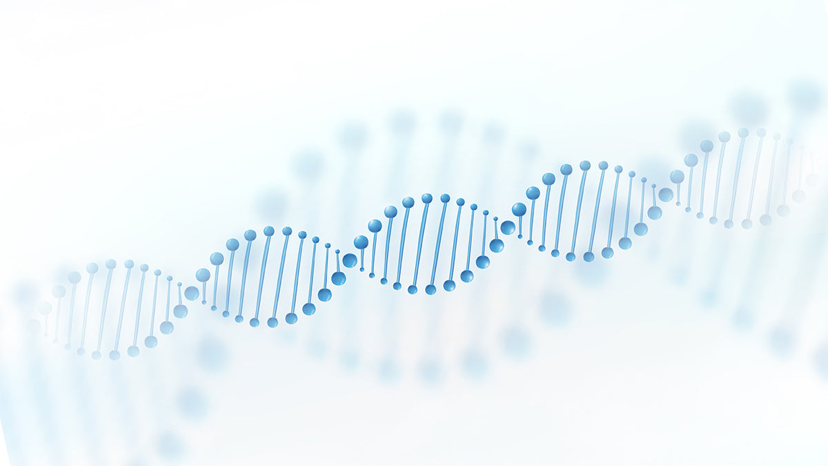 Optimising the Potential of Berberine: Benefits and Bioavailability