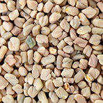 Libifem® Fenugreek