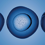 Cholecalciferol (Vitamin D3)