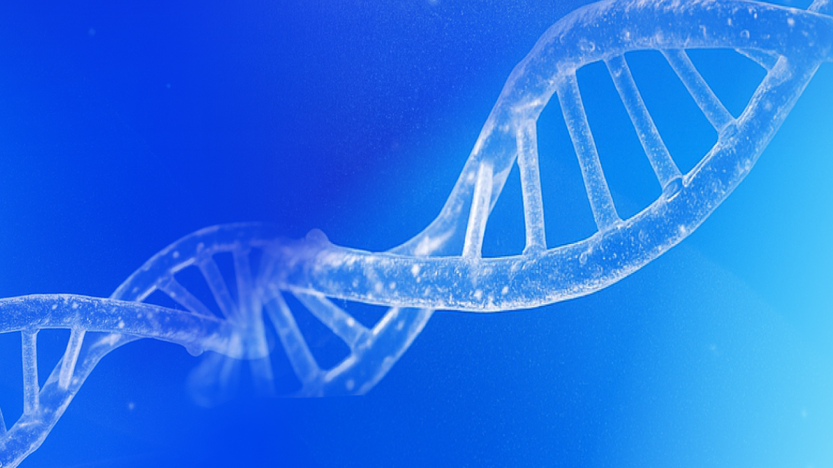 How NMN Helps Support Energy, Metabolism, and Cellular Vitality as You Age