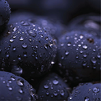 Resveratrol (as VeriSperse™ Resveratrol)