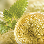 Relissa™ Lemon Balm Phytosome™