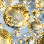 VivoMega™ 3624 TG60 Fish Oil