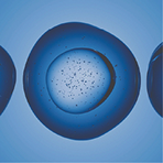Vitamin D (Colecalciferol)