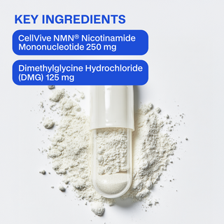 Capsule with powder and key ingredients listed on a light background