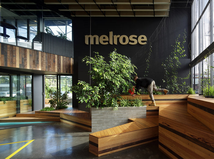 melrose health reception area