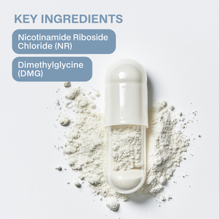 Capsule with powder around it labeled 'Key Ingredients' on a light background