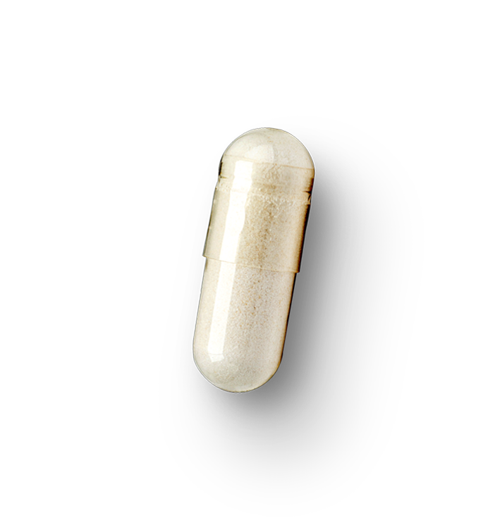 image of supplement capsule